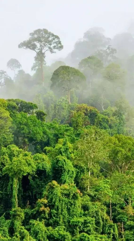 Bellevuea Farms Images 01