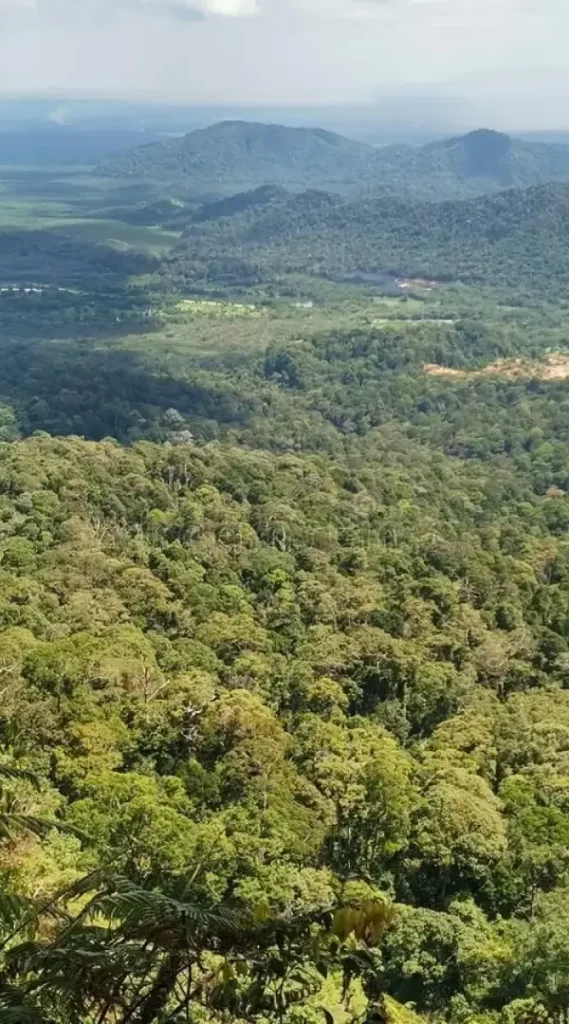 Bellevuea Farms Images 04